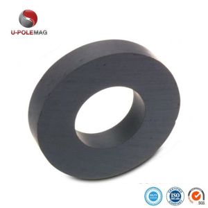 Cutting Service Provided C8 Ferrite Magnet Composite Design for Louderspeaker