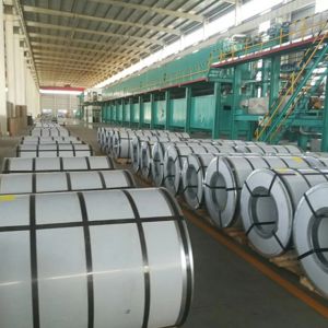 0.12-2.0mm Thickness Secc Secd Dx51d Dx52D Prepainted Galvanized Steel Coil PPGI
