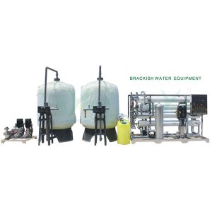 RO Water Treatment Brackish Water System For TDS Salinity And Hardness Removal