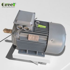 Industrial AlternatorwithMagnet with IP54 Classification of Degrees and Rated