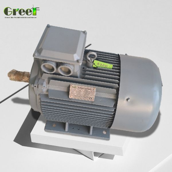 Industrial AlternatorwithMagnet with IP54 Classification of Degrees and Rated