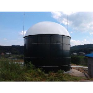 Biogas Power Plants With Reasonable Price And High Yield