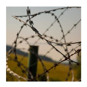 Safety Fence Galvanized Razor Barbed Wire 1.6-3.2mm Wire Diameter 7.5cm-15cm