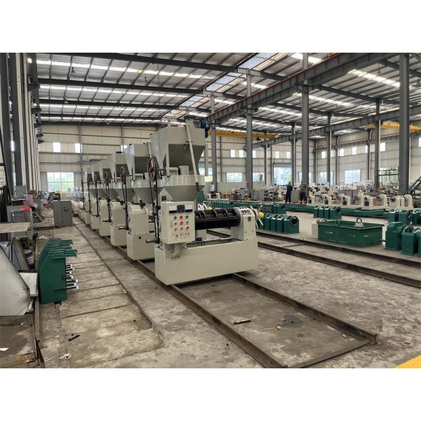 Sunflower Cold Press Oil Press Machine Oil Extractor Automatic Control Oil Mill