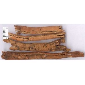 Polygonum Multiflorum Extract, lecithin2%, prevent Alopecia & premature graying