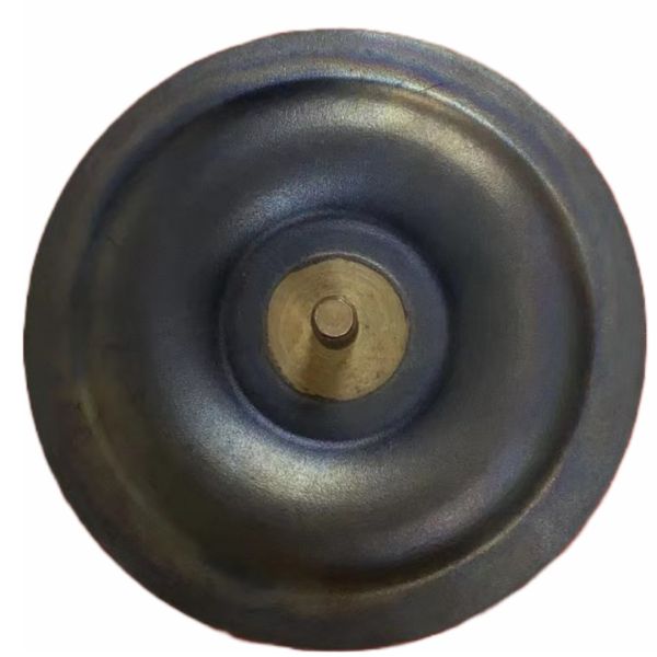 Quality Customizable Application Metering Pump Diaphragm PTFE Material for sale