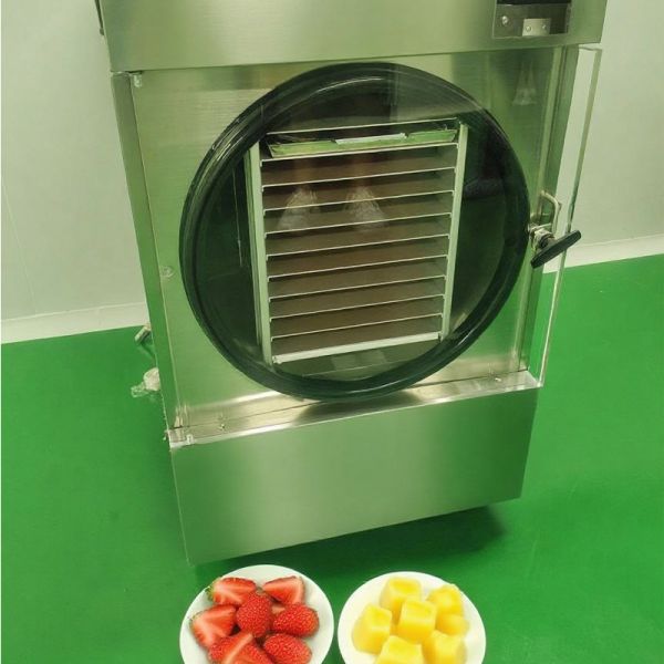 Quality SUS304 Stainless Steel Shell Small Freeze Dryer for Fast and Precise Drying Process for sale
