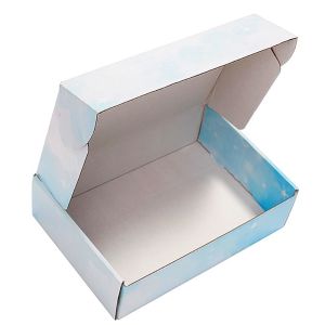 Elelgent White Corrugated Cardboard Boxes With Express Box Design