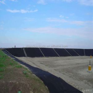 Waterproof HDPE Fish Pond Liner 30mil 60 mils Black Geomembrane for Water