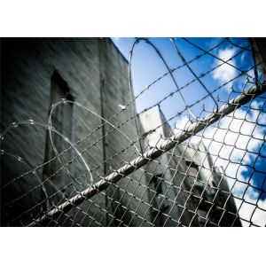 Wholesale ISO Razor Type Wire Spike Steel Material And 140 Sharp Points Per Metre from china suppliers