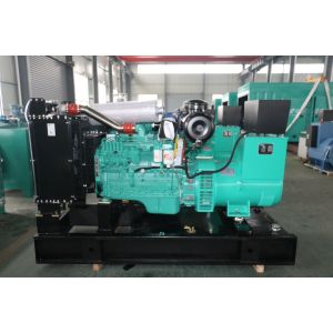 125KVA 100KW Cummins 6CTA8.3-G1 Gas Generator with 50/60hz Frequency in Russian