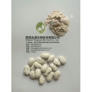 Wholesale White Kidney Bean Extract 3000 units/g, 10:1，phaseolin1-3%, Chinese manufacturer supply natural Delaying aging ingre from china suppliers