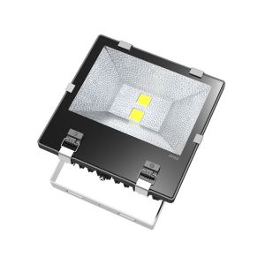 120W AC 100-240V Bridgelux COB 12000-13200LM 2700-6500K LED Flood Light