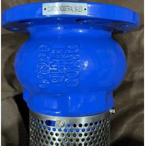 GGG50 H42X cast iron flanged foot valve manufacturer in China