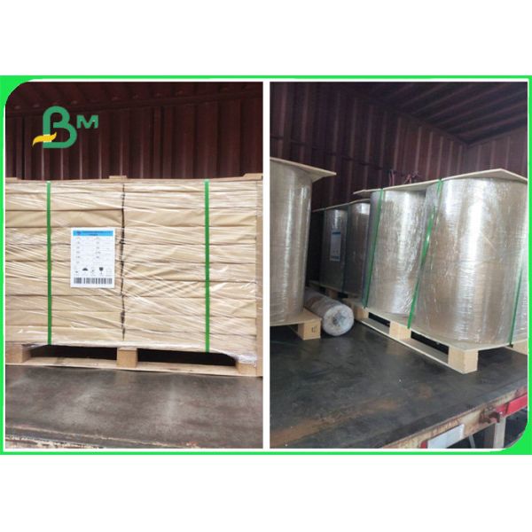 PE coated folding box board Food Grade 14PT + 15g PE One Side Coated Folding Box Board For Food Packaging