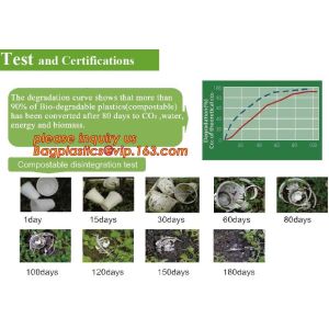 corn starch dinnerware sets biodegradable cake tray, Corn Starch White Molded