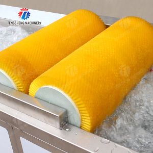 Wash Washer Washing Cleaning Brush bubble cleaning machine Carrots and