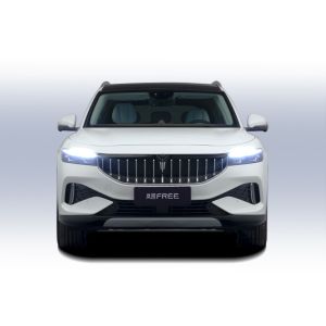 2023 Luxury Energy Pure Electric Car 4Wd Long Range Nedc 505Km Voyah Free 0km