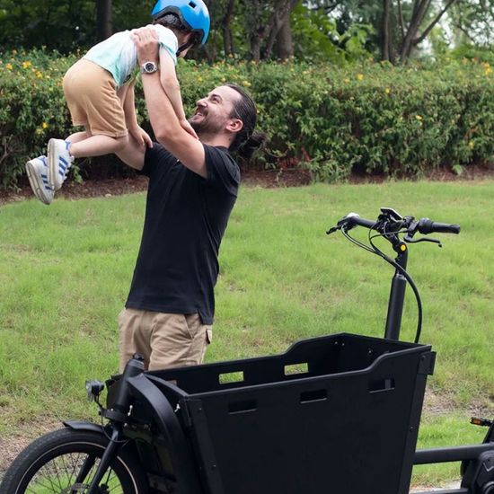 Efficient Cargo E Bike with Karasawa Automatic Internal Gear System
