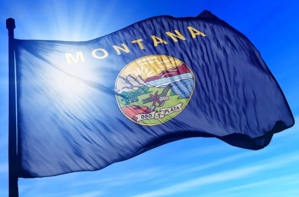 Montana Flag Heavyweight Dupont Nylon Acid Digital Printing Heavy Duty Canvas