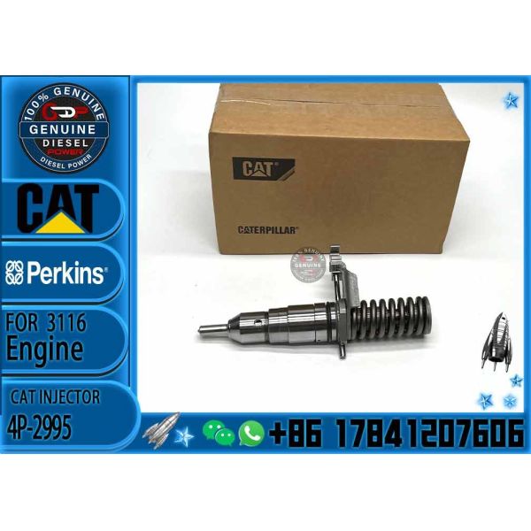 3116 Engine Fuel Injector 4P-2995 162-0212 162-0218 418-8820 0R-8461 0R-8469 0R-8465