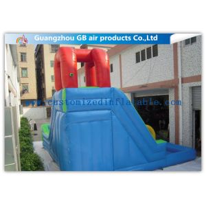 Kids Backyard Inflatable Water Slides Blow Up , Inflatable Outdoor Water Slides