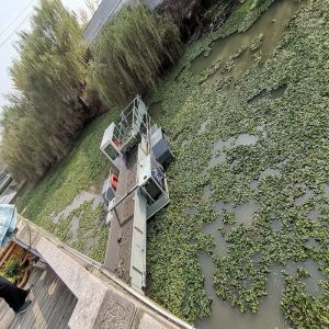Water Hyacinth Cleaning Professional Aquatic Weed Harvester with 3.5-5kn/H