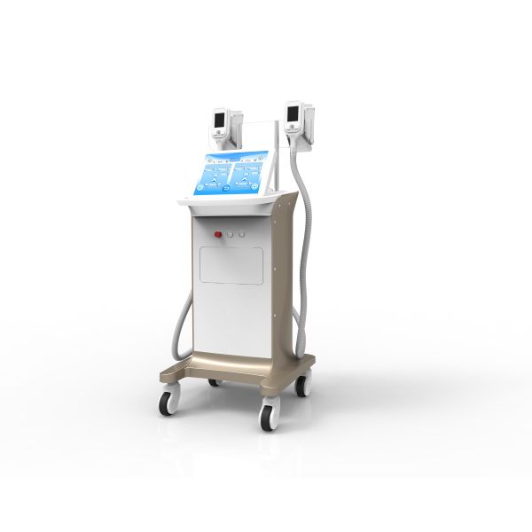 Quality -15~5 ℃ adjustable Vertical Cryolipolysis Fat Freeze Slimming Machine with CE Certification for sale