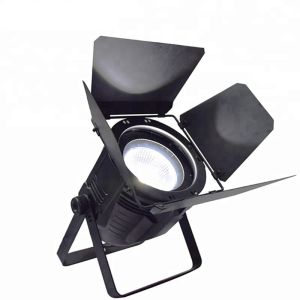 Buy cheap 200 Watt Pro Stage Lighting , COB LED Par Light Warm White And Cool White With from wholesalers