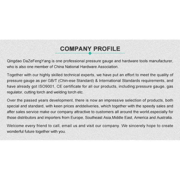 OEM KL 1.6 Standard Pressure Gauge Bottom Mount Steel Case / Brass Material