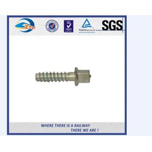 China Square Head Steel Railway Sleeper Screws Spike For Zambia Railway on sale