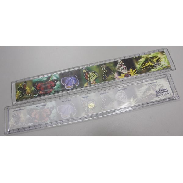 Acrylic ruler with picture