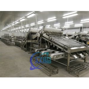 Efficient fish processing and sorting machine Fish size and specification
