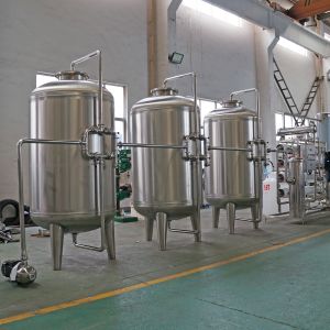 1000LPH Ro Water Treatment Plant Reverse Osmosis Water Treatment System