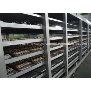 3000pcs/Hr Automatic Rotary Recycled Paper Egg Tray Making Machine