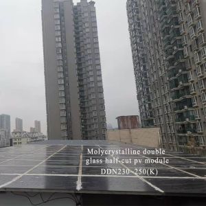 CE BIPV Monocrystalline PV Module Transparent Glass Monocrystalline Solar Panels