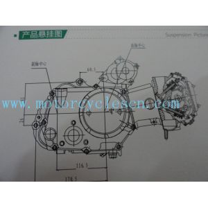 153FMH 110CC Steaming water cool Three Wheels Motorcycles Engines