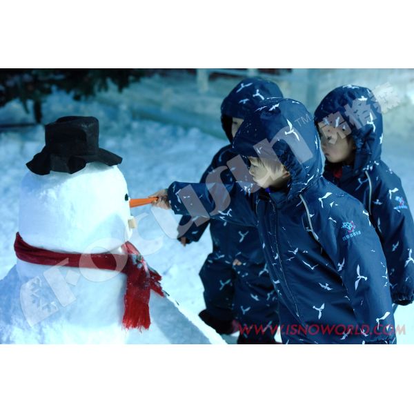 Bitzer Compressor Portable Snow Skiing Ice Maker Container Design for Super September