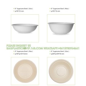 Biodegradable Disposable Compostable Sugarcane Bagasse Food Container Paper Pulp