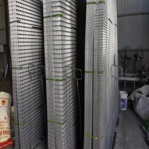 50x50mm Aperture Galvanized Welded Wire Mesh Panels For Construction