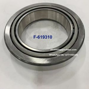 Wholesale F-619310 Automotive Spare Part Bearings Tapered Roller Differential Bearings from china suppliers