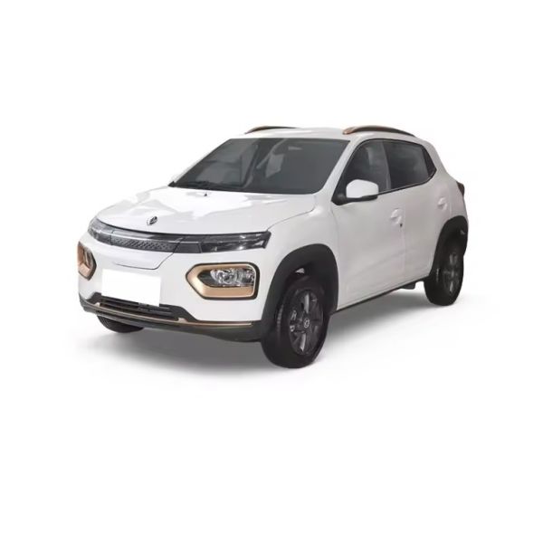 Top- Electric SUV Dongfeng EX1 Nano Box EV Car with Lithium Iron Phosphate