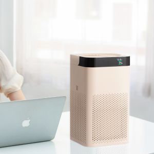 UVC True HEAP Ionic Air Purifier Near by me