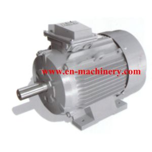 AC/DC Synchronous Generator Motor for Crane(CE, TUV, SGS) INVERTER DUTY MOTOR
