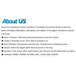 Kitchen Samples US 0.01/Piece Dongyi Windproof Gas Lighter with ISO99994 Dy-F001