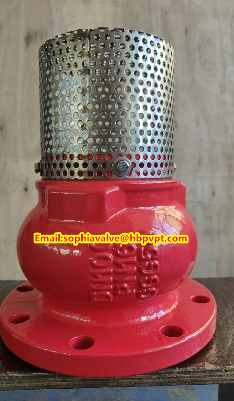 PN10 or PN16 cast iron flanged foot valve Supplier