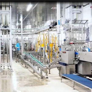 Customized 100g-3kg Container Size Canned Food Production Line with 500 Sets