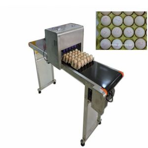 Variable Speed Automatic Egg Stamping Machine With Multiple High Effect