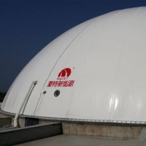 Digester Mounted Double Membrane Gas Holder Weatherproof Spherical Design