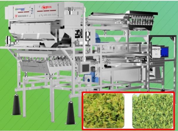 Quality 2.0T/H Vegetable Sorting Machine Precise Target Positioning 5400 pixel For Cabbage for sale